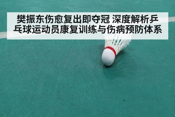 樊振东伤愈复出即夺冠 深度解析乒乓球运动员康复训练与伤病预防体系